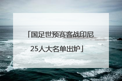 国足世预赛客战印尼25人大名单出炉